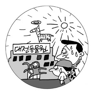 [지방화제] 대전동물원 원숭이 탈출·얼룩말 폐사·쉴 곳 부족