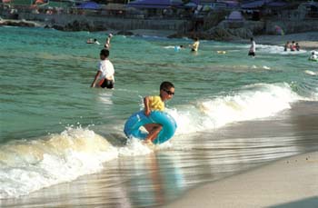 [2002 바캉스특집]삼척 풀코스 피서 깨끗한 해변 20곳 쫘악