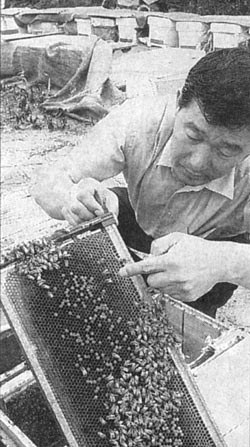 [지방화제] 꿀맛 버린 비