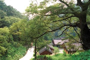 가을맞이 산행 칠갑산