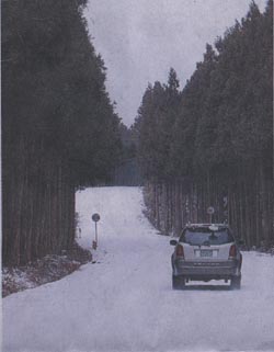 [지방화제] 가장 아름다운 길