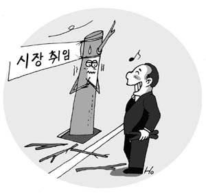 [지방화제] 가로수 운명은 시장 손에?