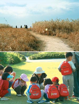 봄으로 단장한 월드컵공원·선유도공원