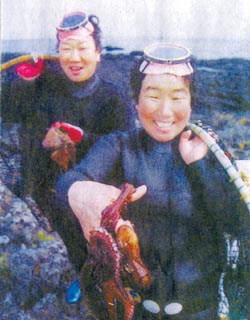 [지방화제] “싱싱한 문어요”