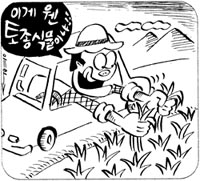 [지방화제] 외지인 욕심에 토종식물 ‘신음’
