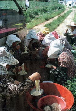 [지방화제] 이맛이 꿀맛!