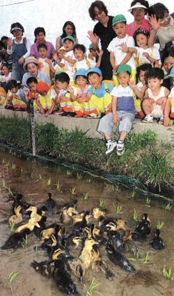 [지방화제] 오리농법 신기하네