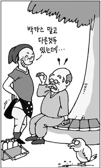 [지방화제] 두류공원서 노인들 꼬드겨 매춘 일삼아