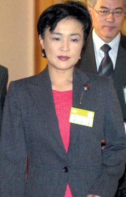 강금실 장관 재산 등록 ‘벤츠 자가용’ 누락 의혹