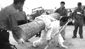 [지방화제] 통나무옮기기 내가 최고