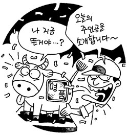 [지방화제] 한우도 명품시대
