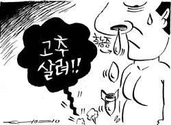 [건강카운슬러] 축농증