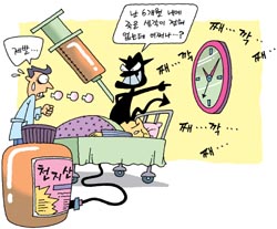 임상실험 전격 허가 천지산 약효 진실게임