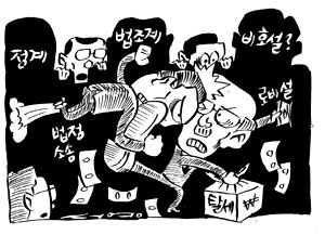H화장품 탈세 로비 의혹