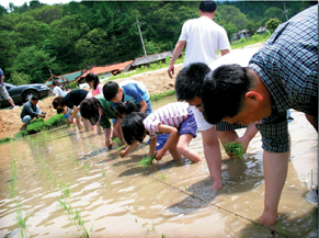 [Enjoy 금토일] 체험! 움직이는 주말  농촌체험마을