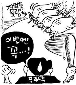 재건축 분양 속도전 돌입