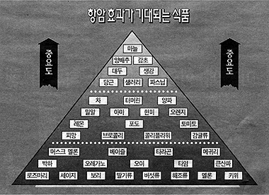 임상암예방학회도 출범 면역·식이요법의 핵심