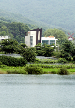 [단독추적] YS 맏며느리 60억대 부동산 보유 내막