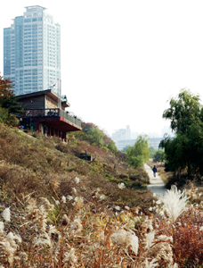 [한나절 코스 도심명소] 서울 여의도 샛강생태공원