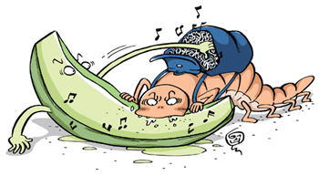 [마켓대전] 멜론 VS 벅스 온라인 음악시장 맞장