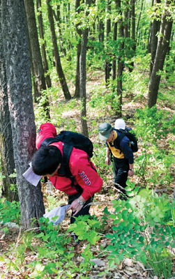 [이색 체험] 독도산행