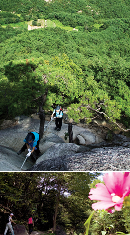 충북 영동 천태산