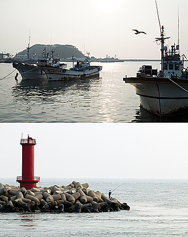 [충남태안 신진도·마도] 자동차 타고 가는 겨울섬여행