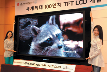 삼성SDI·LG필립스LCD - 엇갈리는 명암