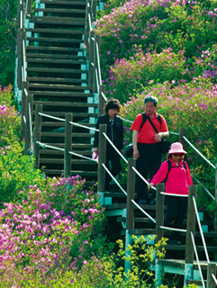 철쭉산행지 Best 3