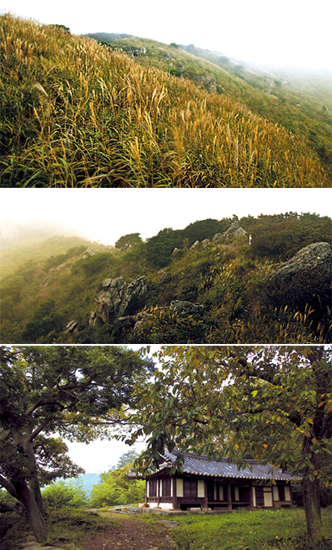 충남 홍성 오서산 억새산행