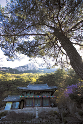 나들이 경기 양주 오봉산 석굴암