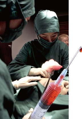 연예인 단골 성형외과 압수수색 내막
