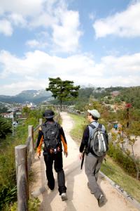 ‘S라인’을 지켜라 척추건강 수칙