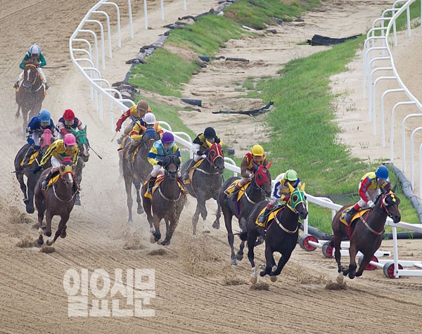 과천 경주로 ‘거리별’ 입체분석