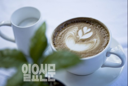 ‘직장인 커피중독’ 달콤쌉쌀, 커피의 두 얼굴을 기억하세요