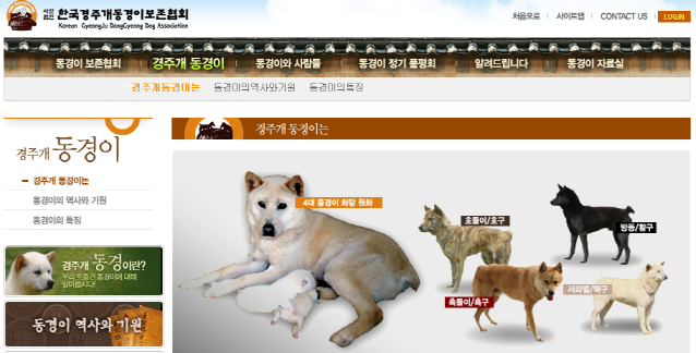 토종개 동경이, 진돗개 삽살개 이어 천연기념물 지정