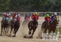 폭염 속의 경마 '뜨거운 질주'