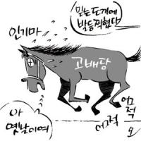 ‘정보의 집합체’ 배당판 보는 법