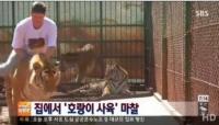 호랑이 기르는 가족, 브라질 정부와 마찰