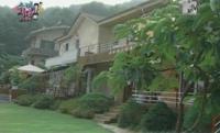 '한 울타리에 두 채' 수영 집 보니…"궁궐이야? 그림이야?"