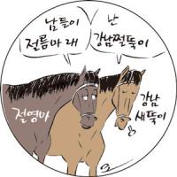 ‘거품 인기마’ 절영마강남새뚝이