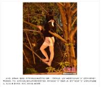 성매매 단속에  나무 위 탈주극 벌인 미니스커트 여성, 그 정체는 충격 반전 