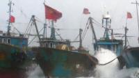 세월호 사고 터지자  ‘물’ 만난 중국 어선, 연평도 불법 점령