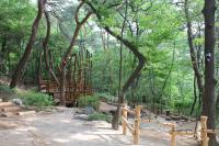 종로구, 23일 `삼청공원 유아숲 체험장` 개장식