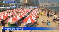 부산 해운대 입욕 통제 이유는? 높은 파도와 함께 이안류 발생