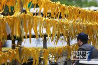 "선원, 엄벌 처해야" 세월호 단원고 학생들 법정 진술 공개