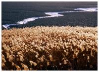 인천AG, `갯벌이 신비로운 인천` 환경사진전 후원