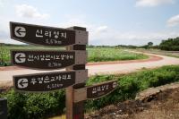 솔뫼성지 한국의 산티아고길 로 ....