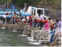 전북도 어린 넙치 20만 마리 방류
