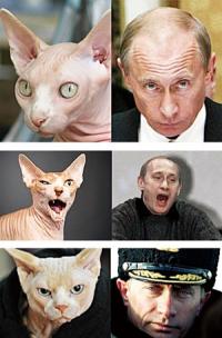 푸틴 비판 배우 ‘의문사’ 러시아당국 “유리조각에 베여서” 황당 해명